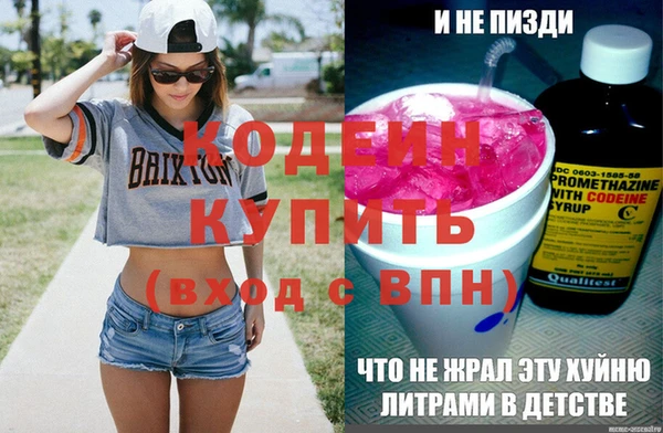 дмт Бородино